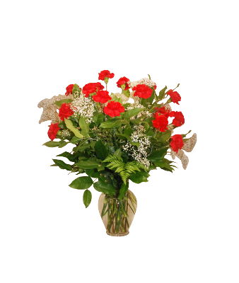     Vase Arrangement 24 Carnations